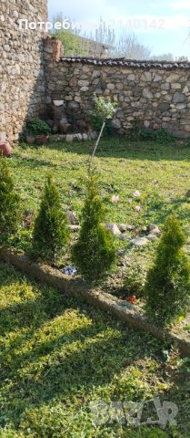 Къща за гости , снимка 3 - Стаи под наем - 40432928