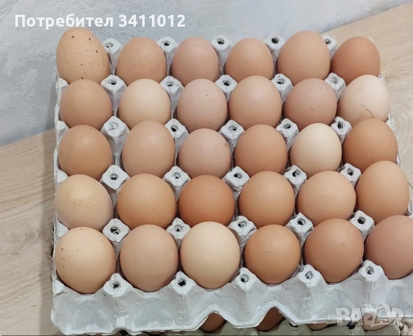 продавам домашни яйца 