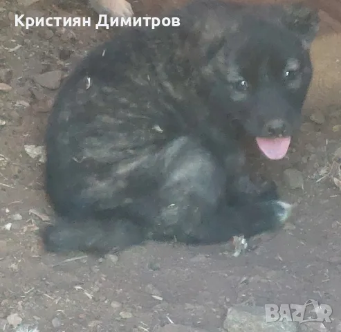 Продавам 3 бр. женски 