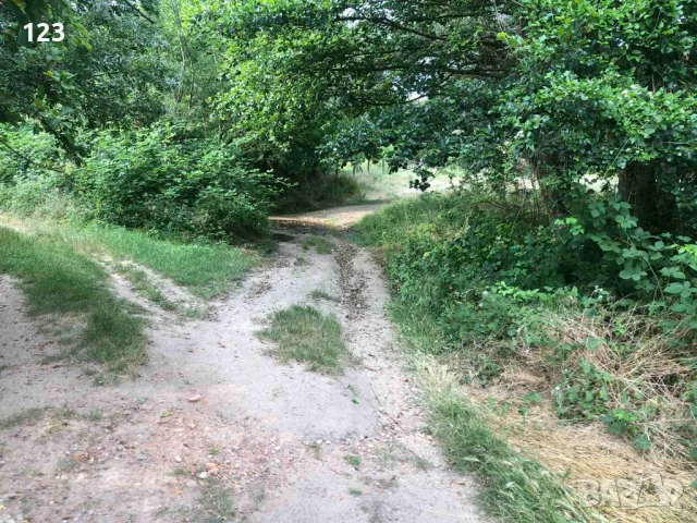  Къща с. Кръстевич, снимка 18 - Къщи - 50795945