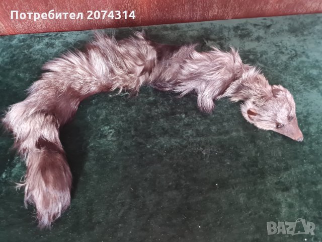 Яка от лисица, снимка 2 - Шалове - 35322117