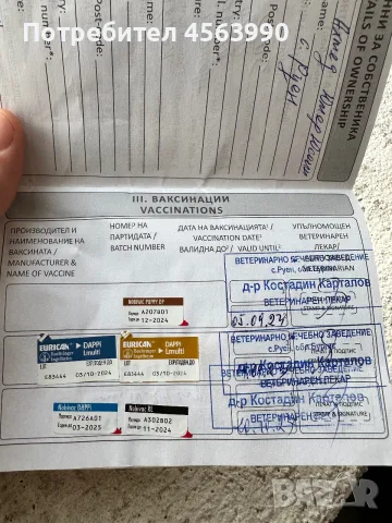 Jenski koker na 3 godini, снимка 4 - Кокер шпаньол - 55878114
