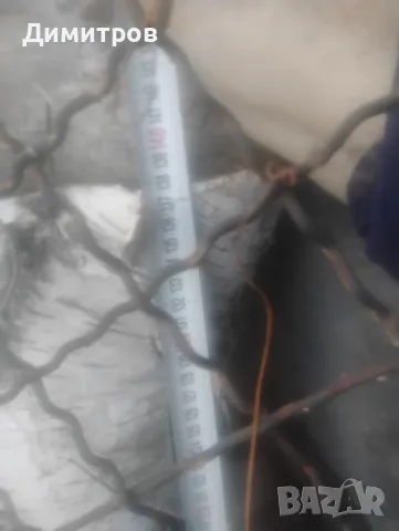 броя брезови трупи с красива бяла кора – за декорация и дизайн Описание:, снимка 6 - други­ - 50169517