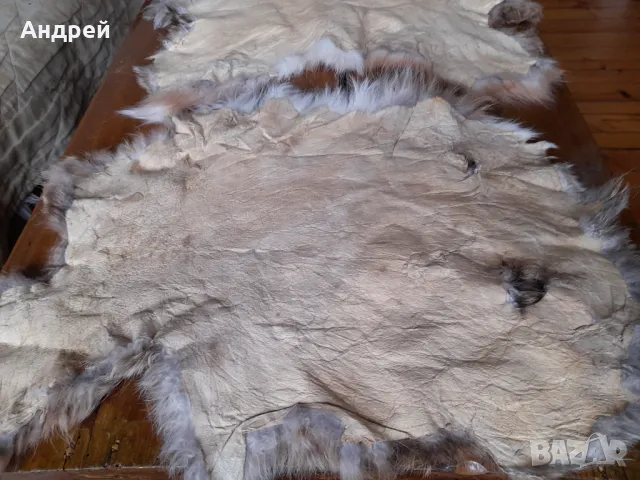 Заешка кожа,кожи, снимка 5 - Други ценни предмети - 47259481