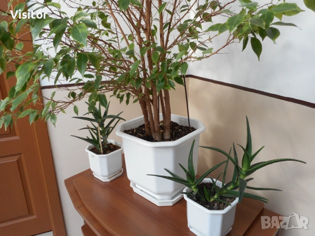 Nikon Coolpix S3600   20.1 МРх, снимка 16 - Фотоапарати - 52836092