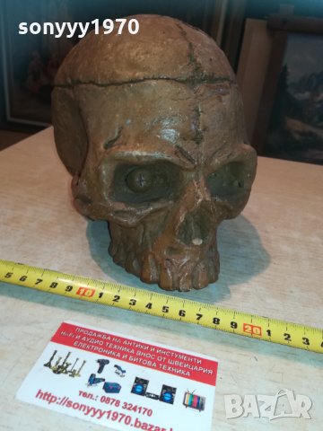 масивен череп 20см 1003210837, снимка 7 - Колекции - 32102510