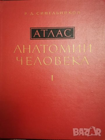 Атлас Анатомии человека, Р. Д. Синельников