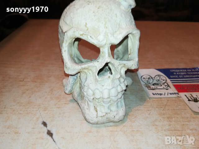 ЧЕРЕП-ВНОС France 🇫🇷 2712211936, снимка 6 - Антикварни и старинни предмети - 35253944