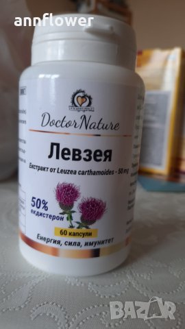 Левзея , снимка 1