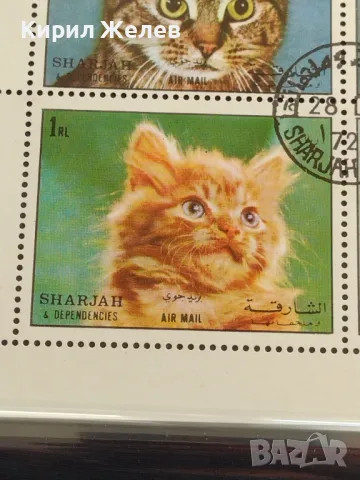 Пощенски марки ЖИВОТНИ КОТКИ перфектно състояние за КОЛЕКЦИОНЕРИ 46692, снимка 4 - Филателия - 47490714