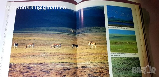 GOBI Bruno Baumann, снимка 7 - Специализирана литература - 51320406