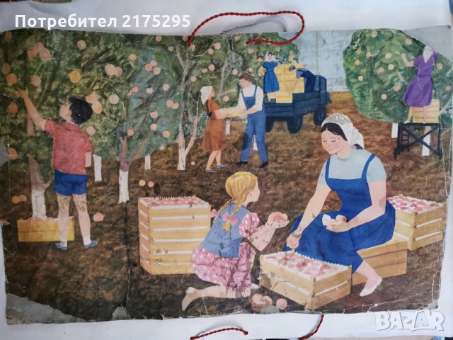 учебни табла-илюстрации помагала от шейсетте години (1960-1970 г.), снимка 2 - Други - 35353107