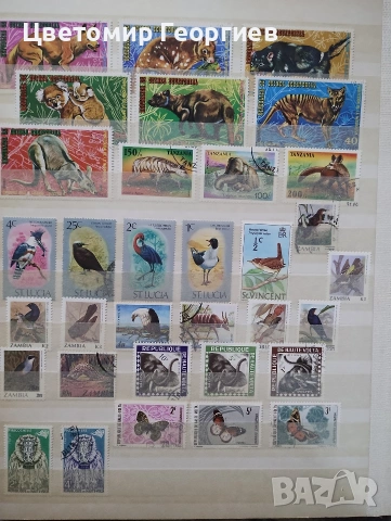 Класьор с марки /животни/ 650 бр .