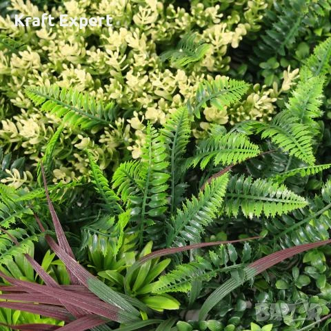 Декоративен Панел 1м² kw2735 – Изкуствена Зеленина с Папрат и Фаларис, UV Защита, снимка 7 - Декорация за дома - 51206214
