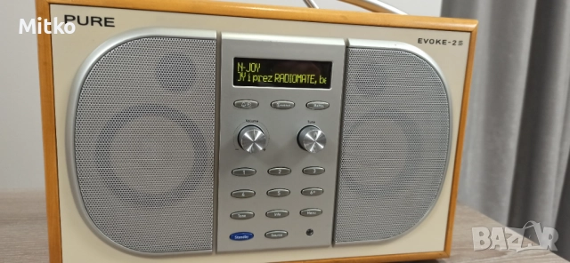 FM дигитално радио Pure Evoke-2S