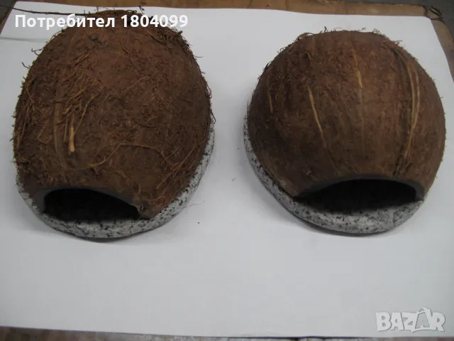 Кокос укритие с подложка за аквариум, снимка 6 - Аквариуми - 48661726