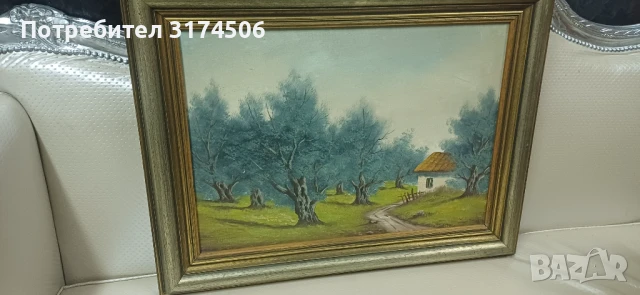 Картина рисувана на платно , снимка 1