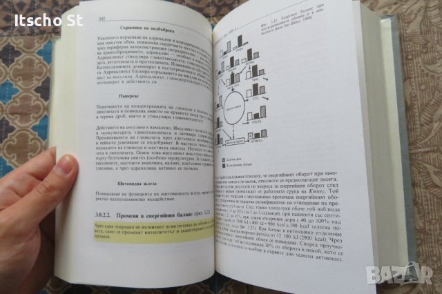 Съвременно инфузионно лечение. Парентерално хранене, Волфганг Хартиг, 1992г., снимка 6 - Специализирана литература - 40536251