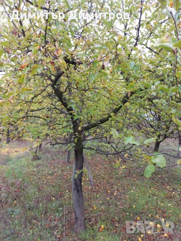 Продавам вила в местноста Драката, снимка 9 - Вили - 36995711