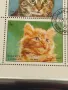 Пощенски марки ЖИВОТНИ КОТКИ перфектно състояние за КОЛЕКЦИОНЕРИ 46692, снимка 4