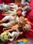 Детски играчки и бънджи, снимка 3