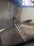  Продавам петле с две декоративни кокошки, снимка 3