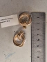 Дамски златни обеци 7,02гр., снимка 3