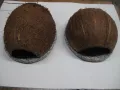 Кокос укритие с подложка за аквариум, снимка 6