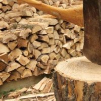 Продавам дърва за огрев, снимка 4 - Дърва за огрев - 11072957