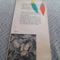 Стара брошура България Страна на зеленчуците, снимка 3 - Други ценни предмети - 31670808