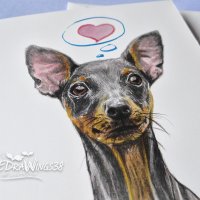 Картичка "Пинчер" / куче, животни, любов, сърце, снимка 3 - Романтични подаръци - 31411784