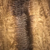 Дамско кожено палто, снимка 2 - Палта, манта - 30247693