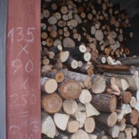 Продавам дърва за огрев, снимка 5 - Дърва за огрев - 41572025