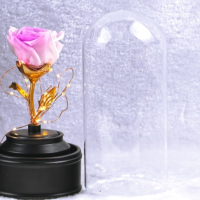 Вълшебна неувяхваща роза в стъкленица с LED светлина, снимка 2 - Романтични подаръци - 44761894