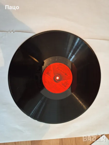 КАМЕННОТО ЦВЕТЕ, снимка 1