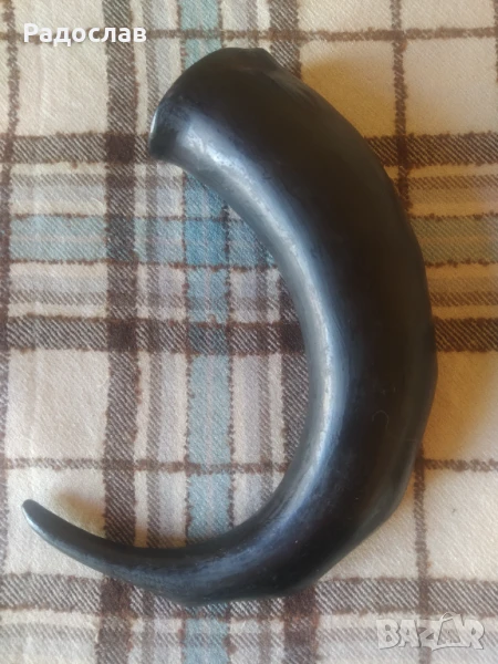 полиран животински рог, снимка 1