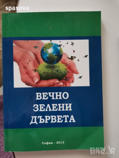 Вечно зелени дървета, снимка 1