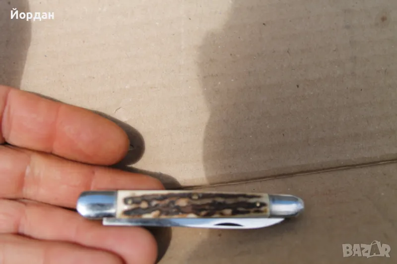 Българска наградна ножка 1984-та година, снимка 1