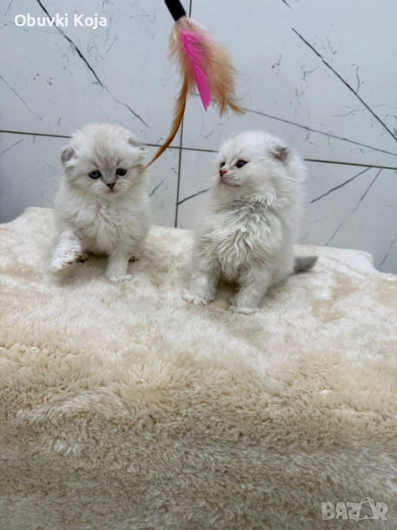 Последни 2 побързайте уникален подарък за вашите любими, снимка 1