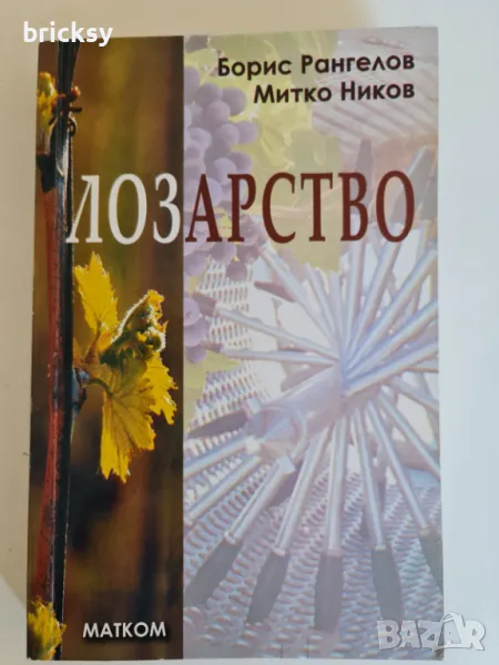 Лозарство Борис Рангелов, Митко Ников, снимка 1