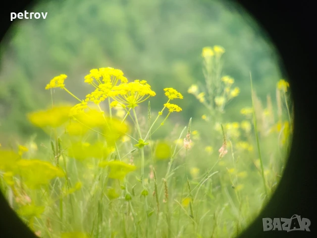 Бинокъл Carl Zeiss Jena 8х30 , снимка 11 - Екипировка - 49632270