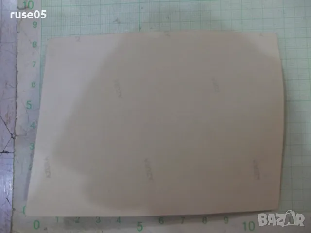 Снимка стара на българи на излет в Америка - 1, снимка 2 - Колекции - 48071922