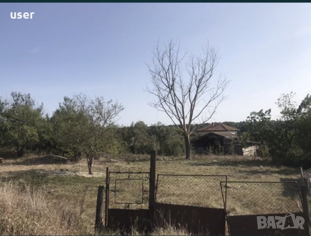 Собственик продава -Дворно място в с. Дъбравино, снимка 2 - Парцели - 29063630