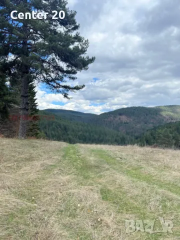 Парцел във вилна зона м. Дикчан, снимка 5 - Парцели - 50097017