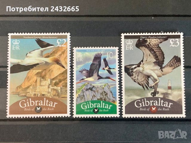 1541. Гибралтар 2009 ~ “ Фауна. Птици от скалите. ” , **, MNH 