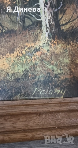 Стенни картини леопард, снимка 5 - Картини - 52316156