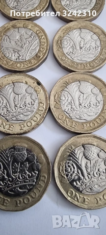 Монети Кралица Елизабет II, Генерална дирекция Б., REG.FD Паунд, снимка 8 - Нумизматика и бонистика - 53310732