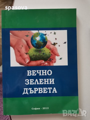Вечно зелени дървета, снимка 1