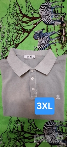 Мъжки тениски с якичка големи размери,2ХL,3XL,4XL, снимка 15 - Блузи - 51620099