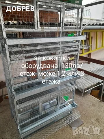 клетки за зайци,кокошки,пилета,гълъби,пъдпъдъци,папагали и др., снимка 13 - За селскостопански - 47546237